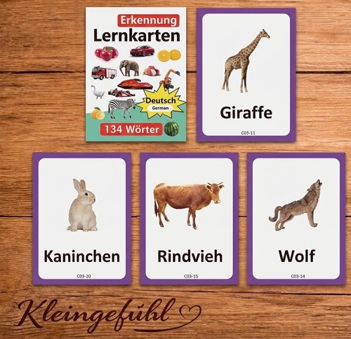 Lernkarten für kinder - lernkarten,